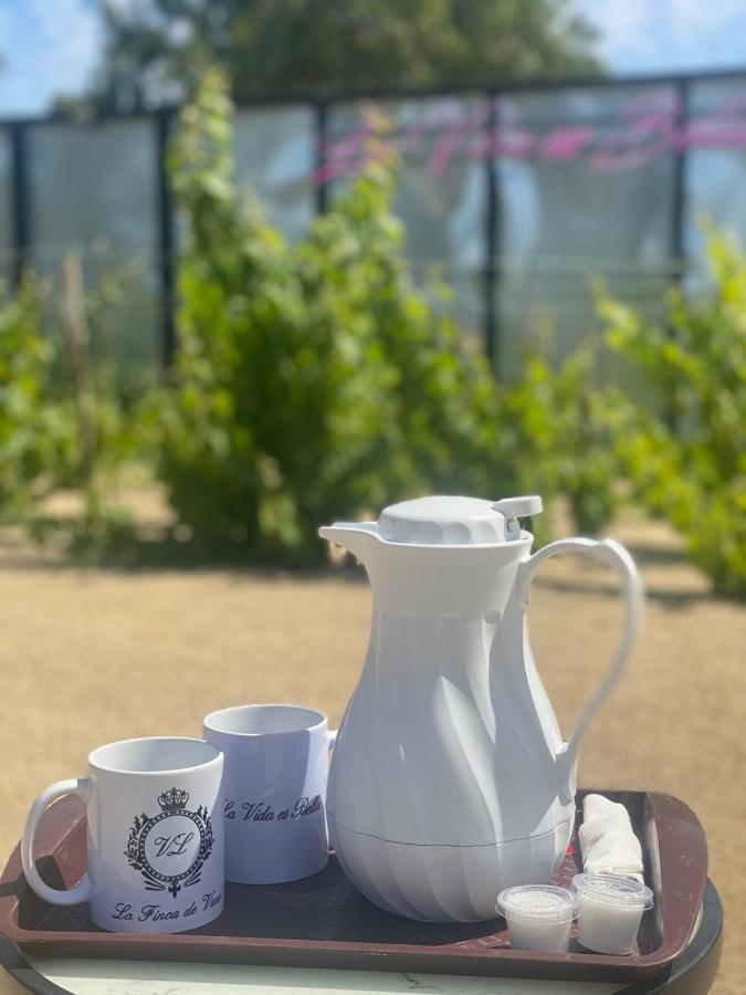 La Finca De Vane Valle de Guadalupe Ngoại thất bức ảnh