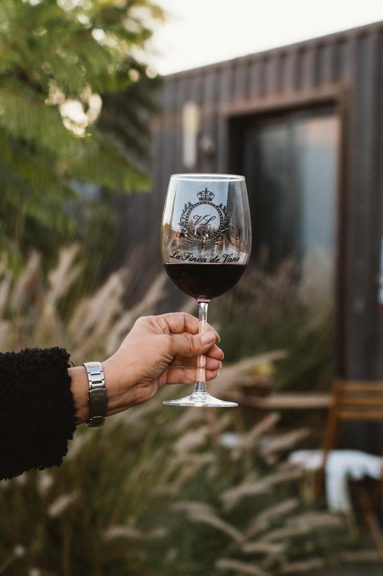 La Finca De Vane Valle de Guadalupe Ngoại thất bức ảnh